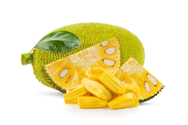 Fruit Shake - Jack Fruit Fruit Shake - Jack Fruit